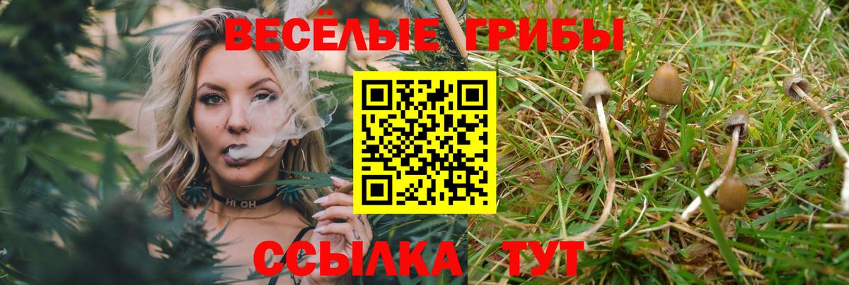 Экстази Артёмовский