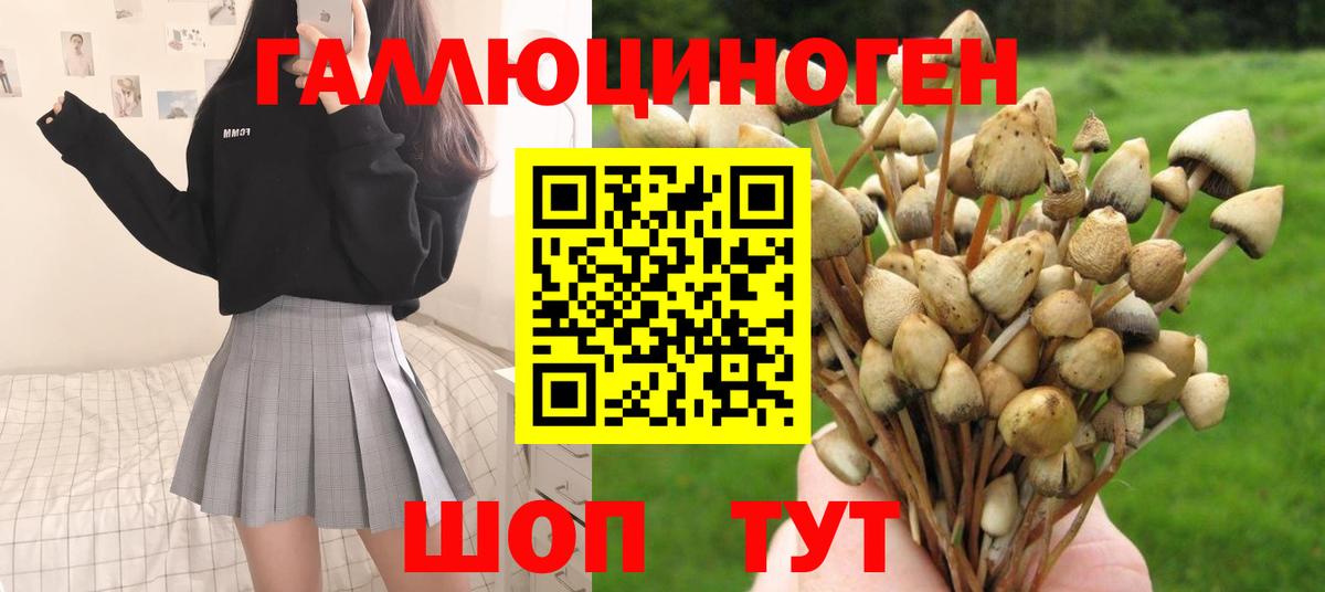 Галлюциногенные грибы MAGIC MUSHROOMS Артёмовский